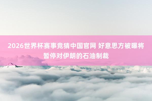 2026世界杯赛事竞猜中国官网 好意思方被曝将暂停对伊朗的石油制裁