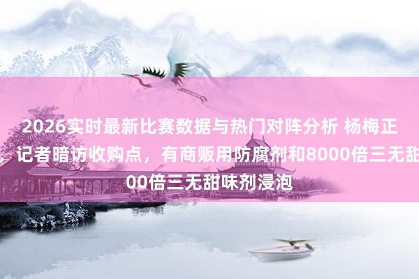 2026实时最新比赛数据与热门对阵分析 杨梅正多数上市，记者暗访收购点，有商贩用防腐剂和8000倍三无甜味剂浸泡