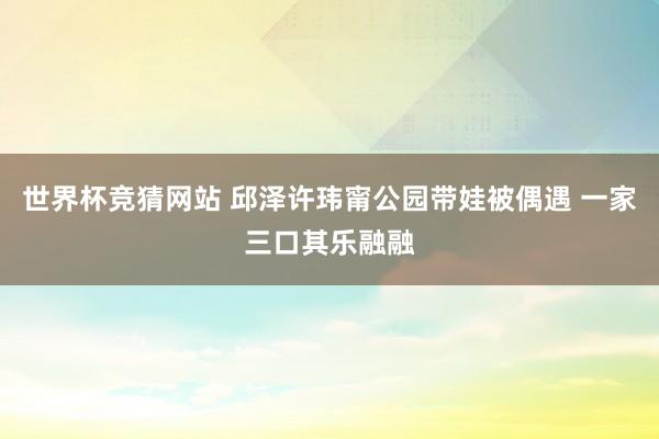 世界杯竞猜网站 邱泽许玮甯公园带娃被偶遇 一家三口其乐融融