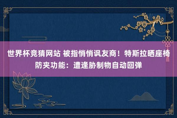 世界杯竞猜网站 被指悄悄讽友商！特斯拉晒座椅防夹功能：遭逢胁制物自动回弹