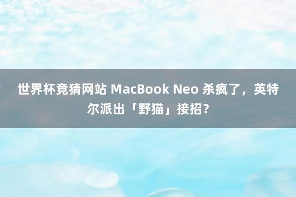 世界杯竞猜网站 MacBook Neo 杀疯了，英特尔派出「野猫」接招？