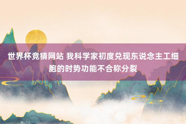 世界杯竞猜网站 我科学家初度兑现东说念主工细胞的时势功能不合称分裂