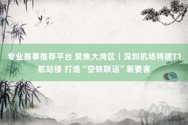 专业赛事推荐平台 聚焦大湾区丨深圳机场将建T1航站楼 打造“空铁联运”新要害