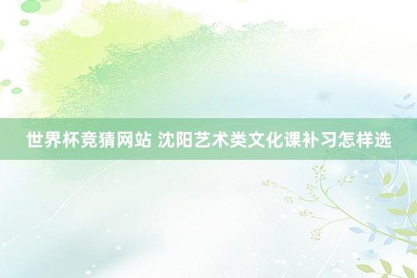 世界杯竞猜网站 沈阳艺术类文化课补习怎样选