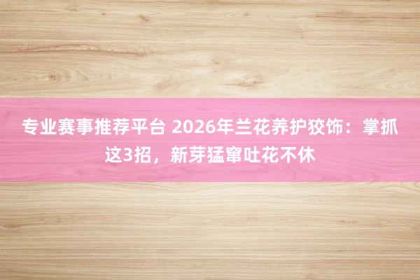 专业赛事推荐平台 2026年兰花养护狡饰：掌抓这3招，新芽猛窜吐花不休