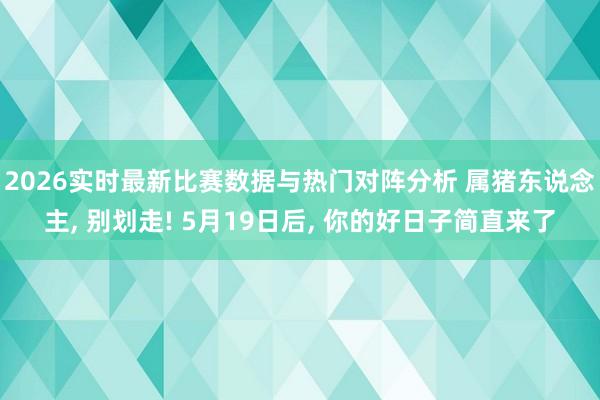 2026实时最新比赛数据与热门对阵分析 属猪东说念主， 别划走! 5月19日后， 你的好日子简直来了