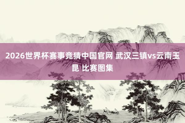 2026世界杯赛事竞猜中国官网 武汉三镇vs云南玉昆 比赛图集