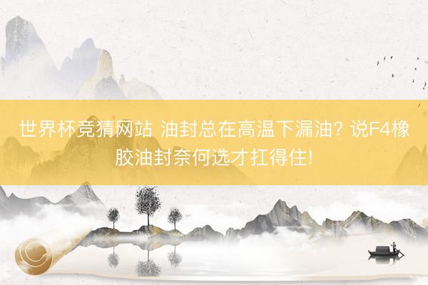 世界杯竞猜网站 油封总在高温下漏油? 说F4橡胶油封奈何选才扛得住!